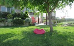 Guesthouse With Garden
